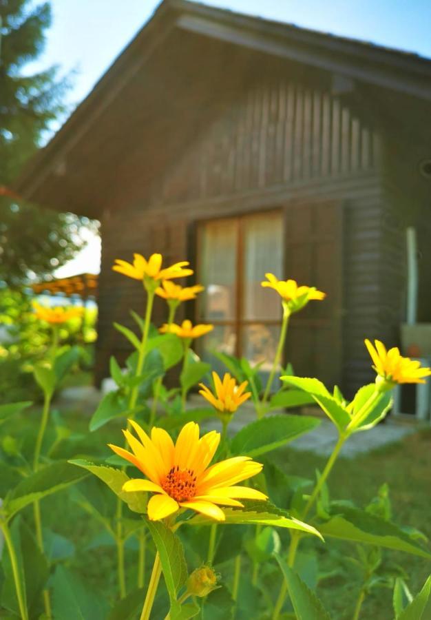 Merikotka - A Cozy Wooden Cottage, Slovenia Braslovce Exteriér fotografie